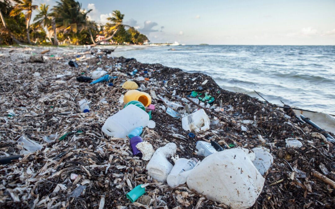 Waste Management – How to have a stink free season