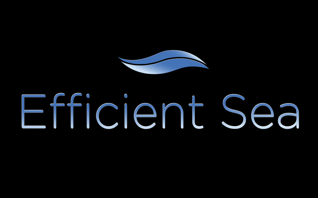 Efficient Sea App