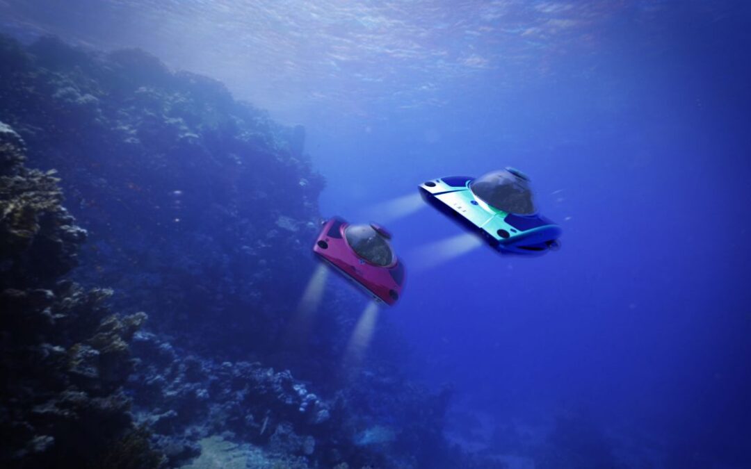 A sports submarine for every season