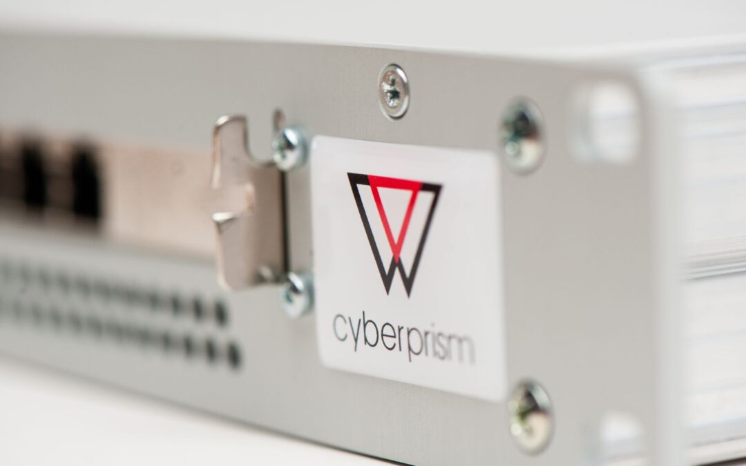 Trust only the cybersecurity experts – surveying the risk