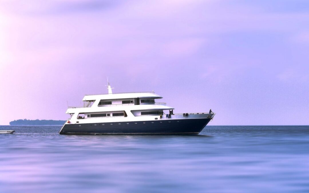 Feel the freedom of YManage: Get ship done
