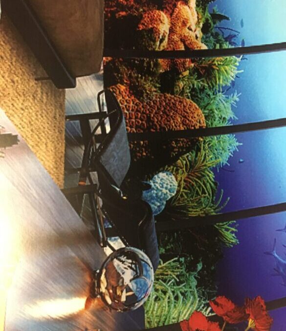  Lose yourself in a fully immersive display 