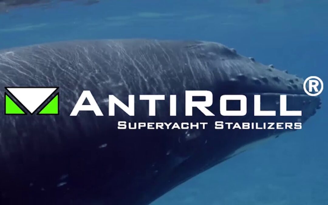 AntiRoll All-In-One Stabiliser inspired by nature