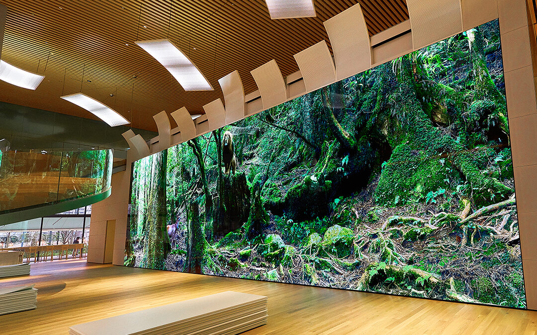 The Screen That Dreams Are Made Of